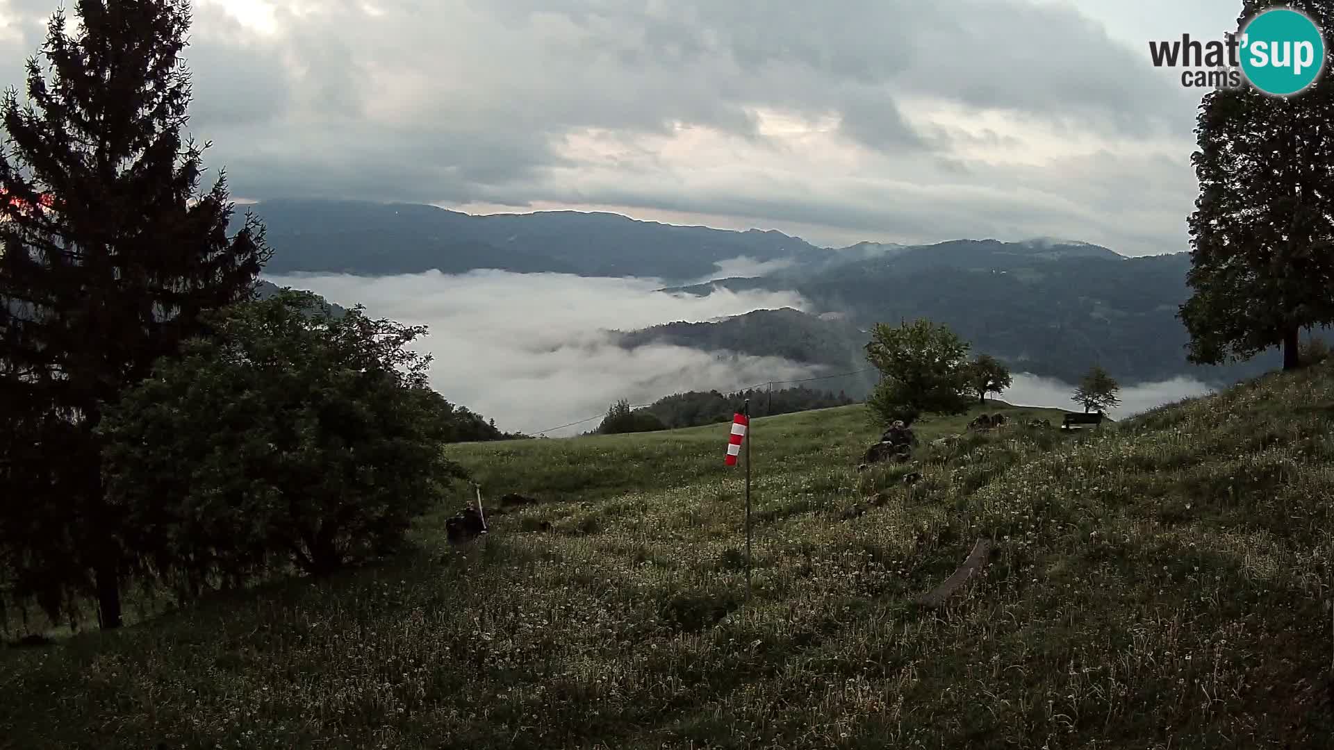 Slajka livecam | Gorenja Vas | Slovénie