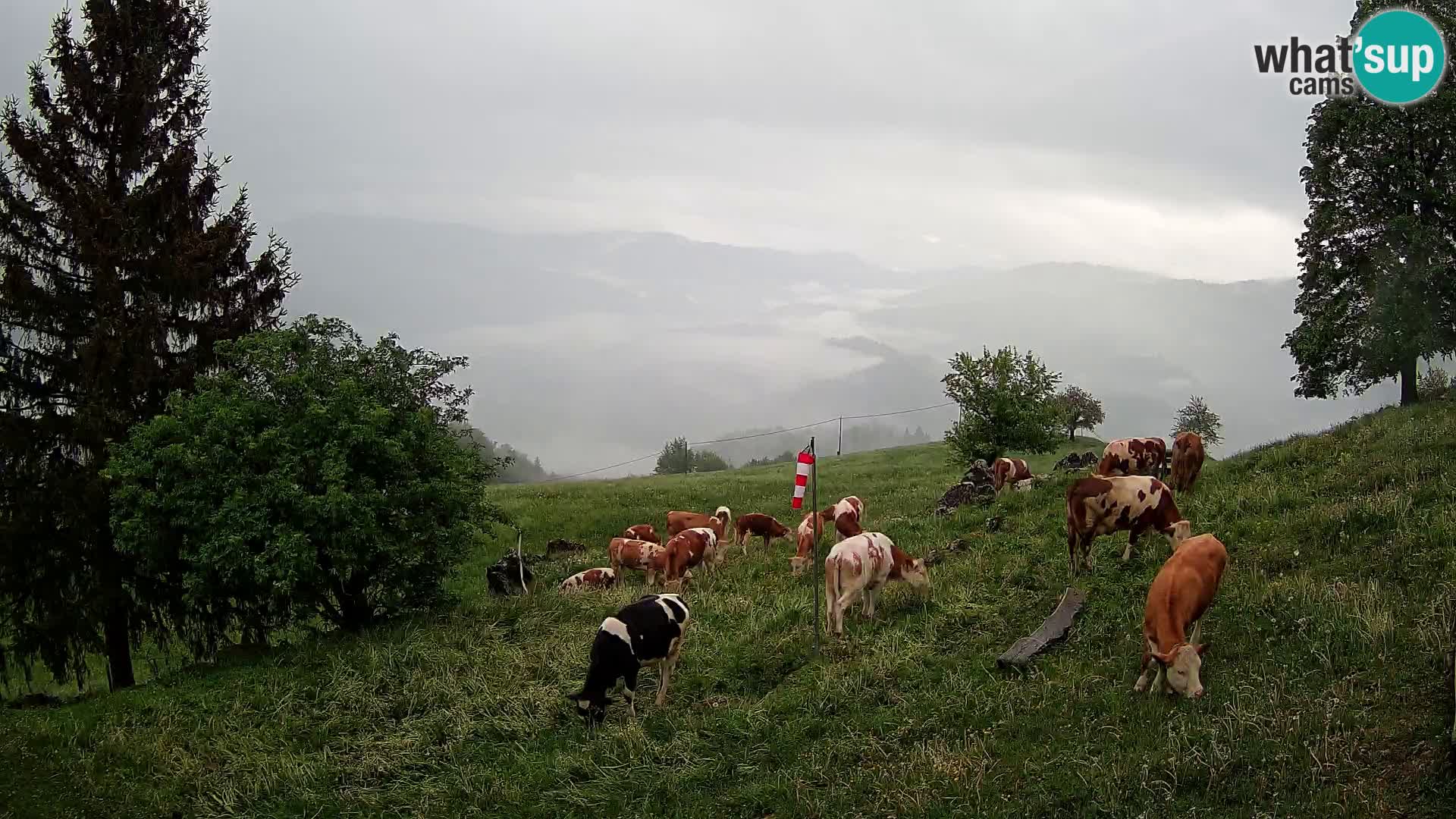 Slajka webam | Gorenja vas | Slovenia