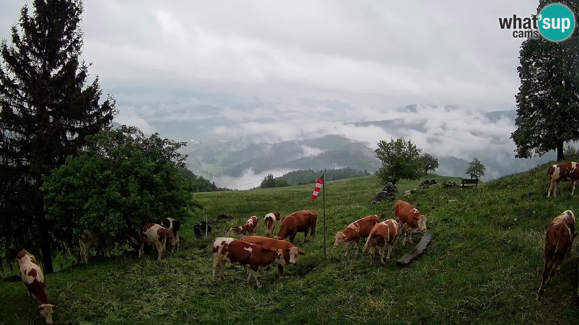 Slajka webam | Gorenja vas | Slovenia