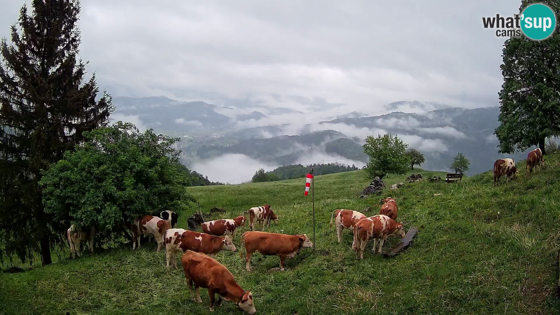 Webcam Slajka | Gorenja vas | Slovenia