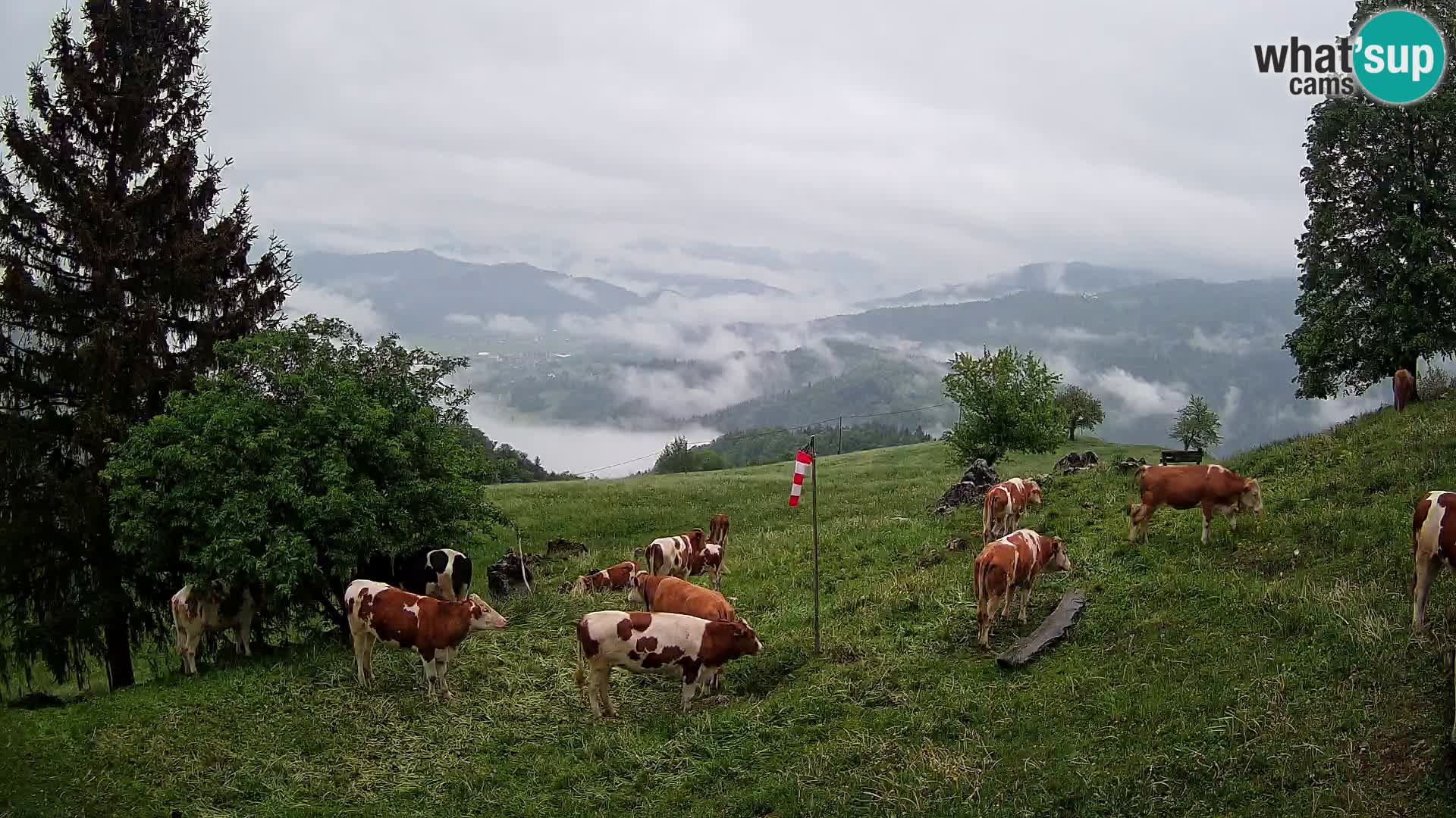 Slajka webam | Gorenja vas | Slovenia