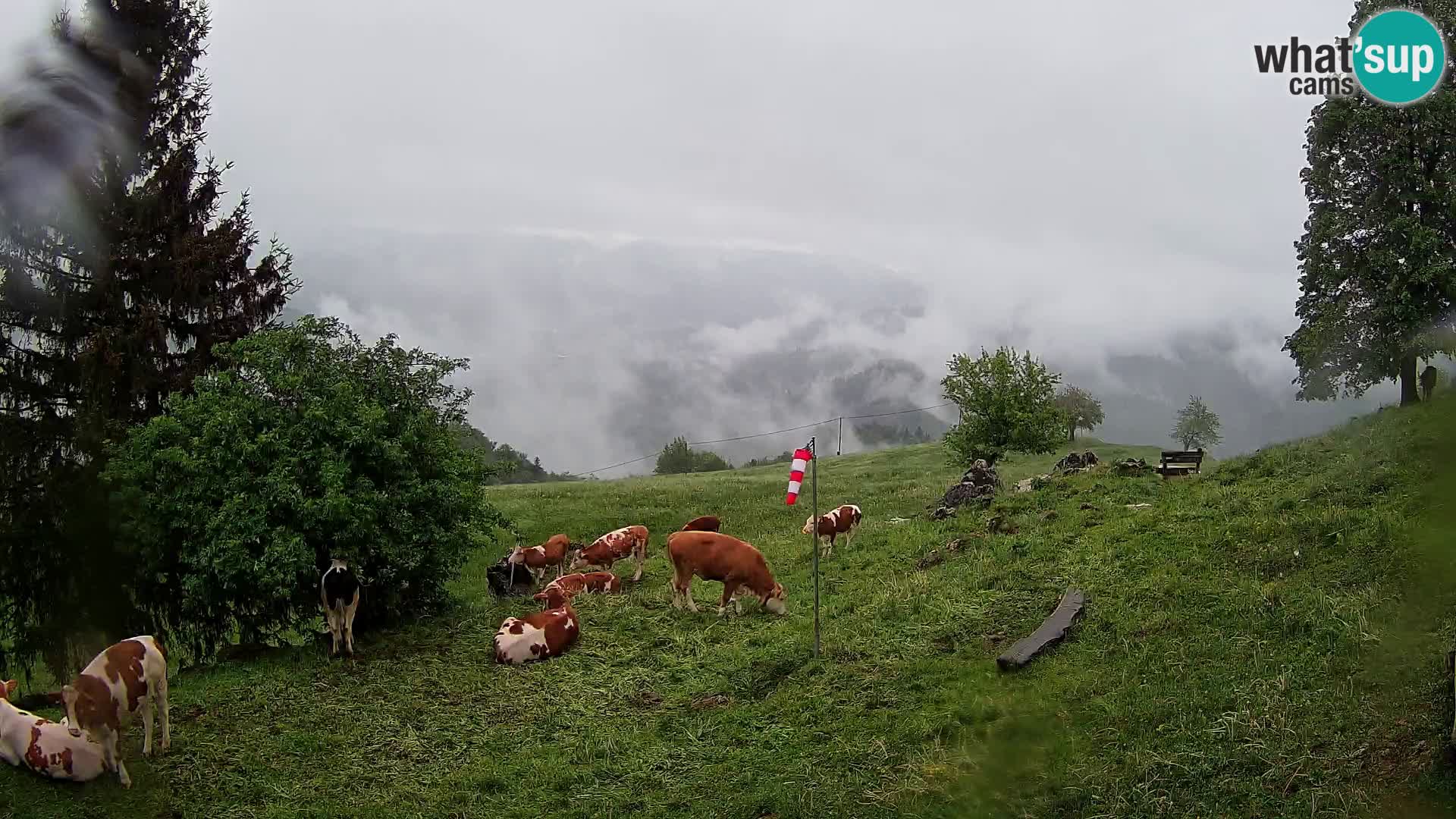 Slajka webam | Gorenja vas | Slovenia
