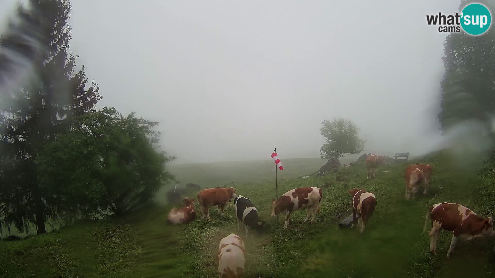 Spletna kamera Slajka | Gorenja vas