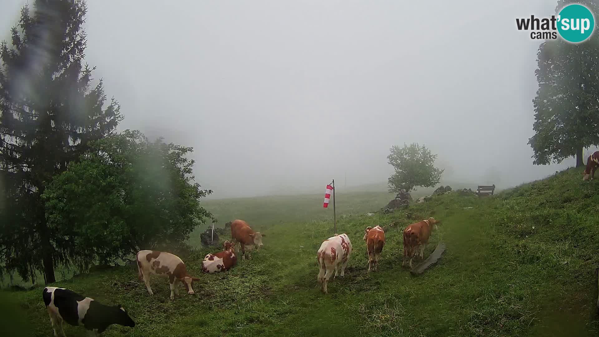 Spletna kamera Slajka | Gorenja vas