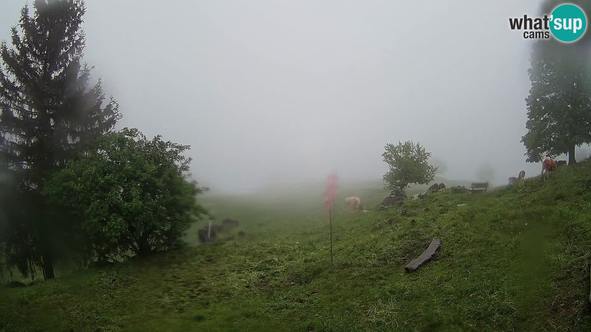 Slajka web kamera | Gorenja Vas | Slovenija