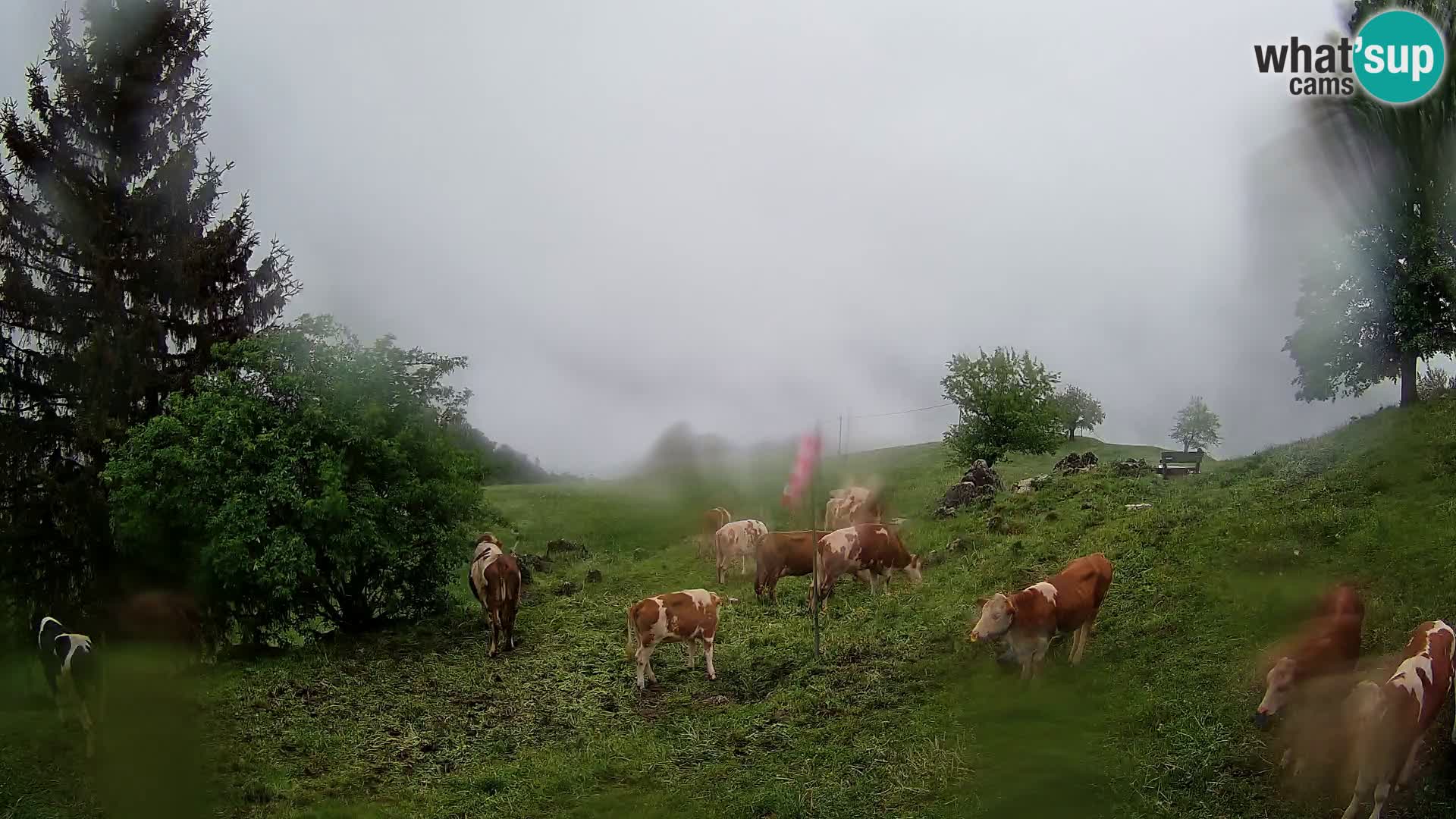 Spletna kamera Slajka | Gorenja vas