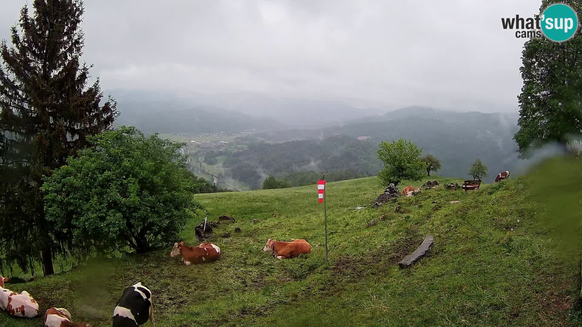 Slajka webam | Gorenja vas | Slovenia