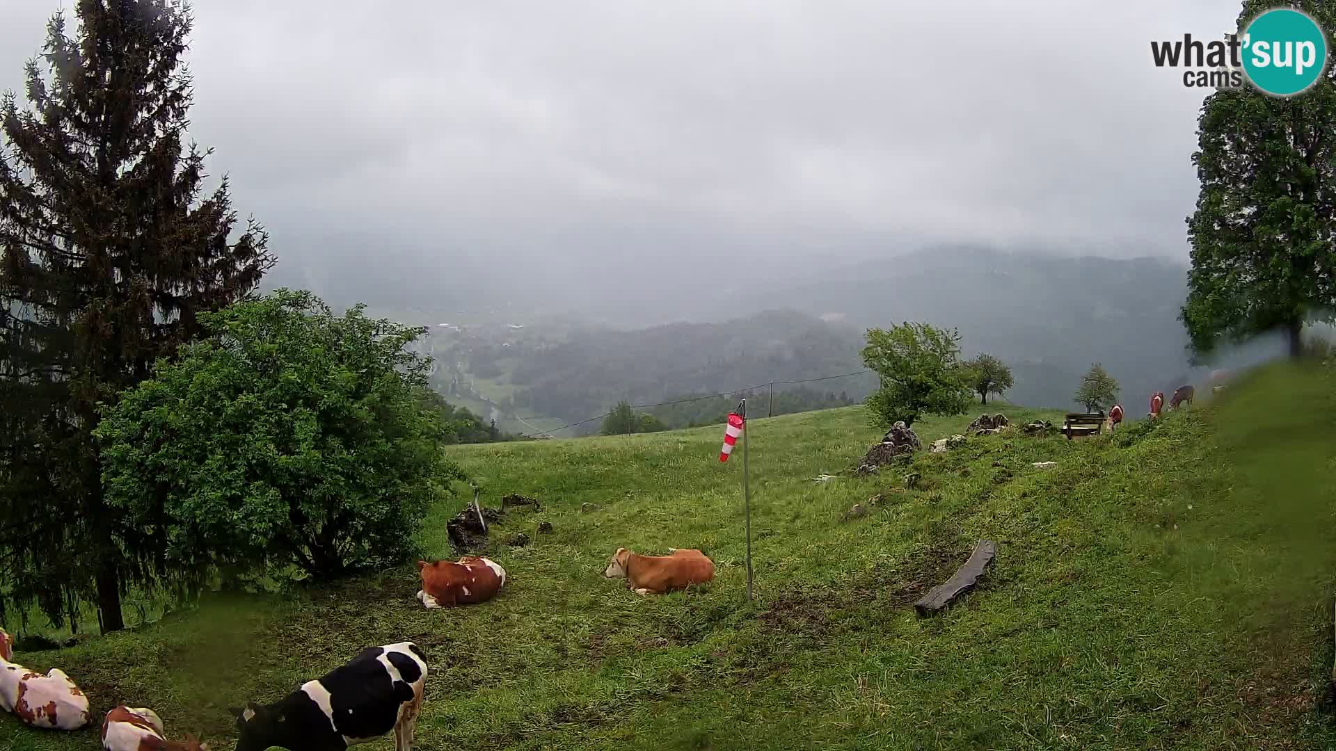 Slajka web kamera | Gorenja Vas | Slovenija