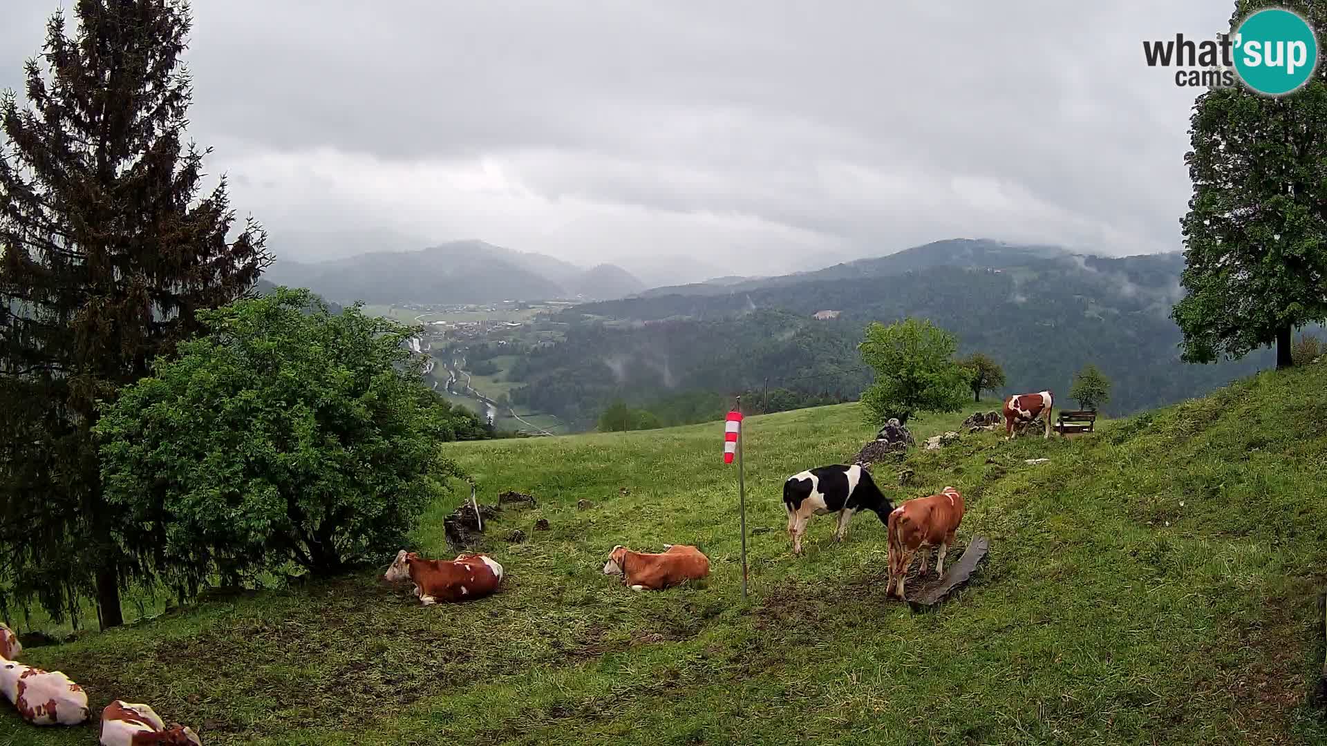 Slajka webam | Gorenja vas | Slovenia