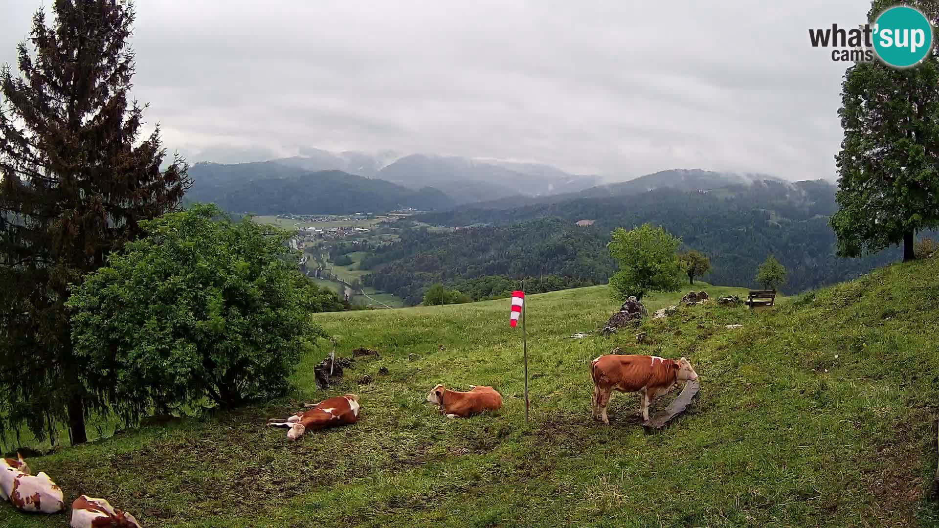 Webcam Slajka | Gorenja vas | Slovenia