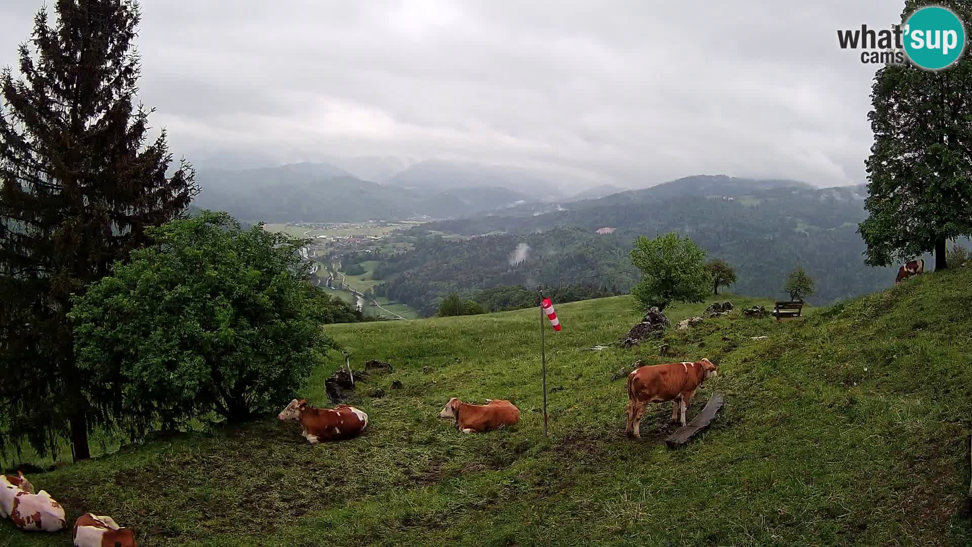 Slajka webam | Gorenja vas | Slovenia