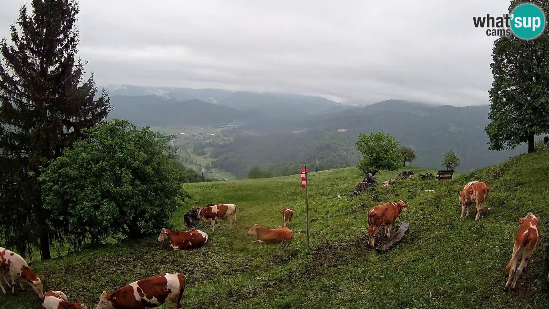 Slajka webam | Gorenja vas | Slovenia