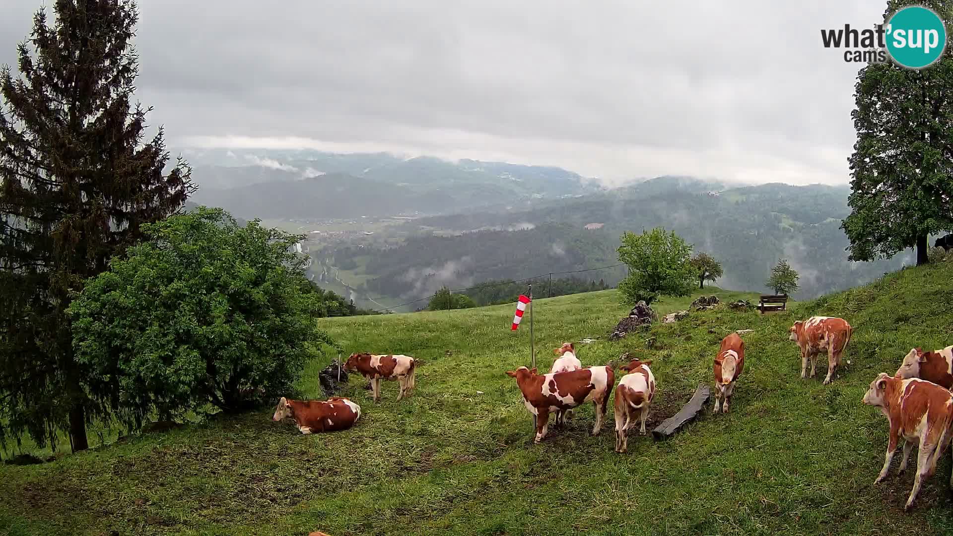 Slajka webam | Gorenja vas | Slovenia