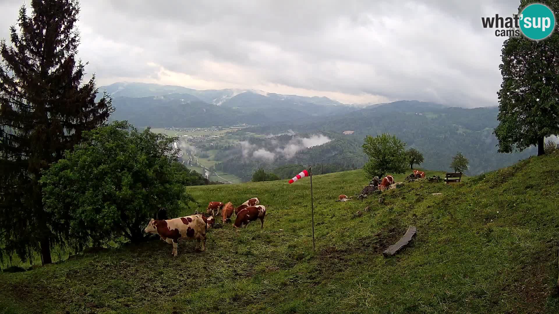 Slajka webam | Gorenja vas | Slovenia