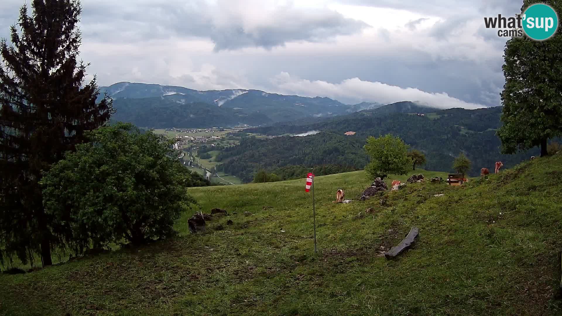 Slajka webam | Gorenja vas | Slovenia