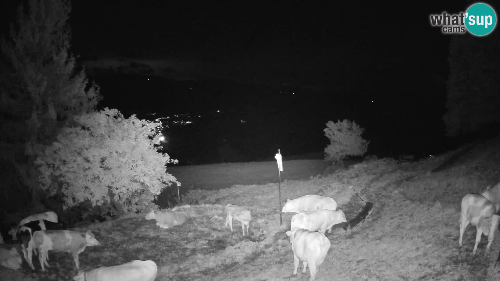 Slajka webam | Gorenja vas | Slovenia
