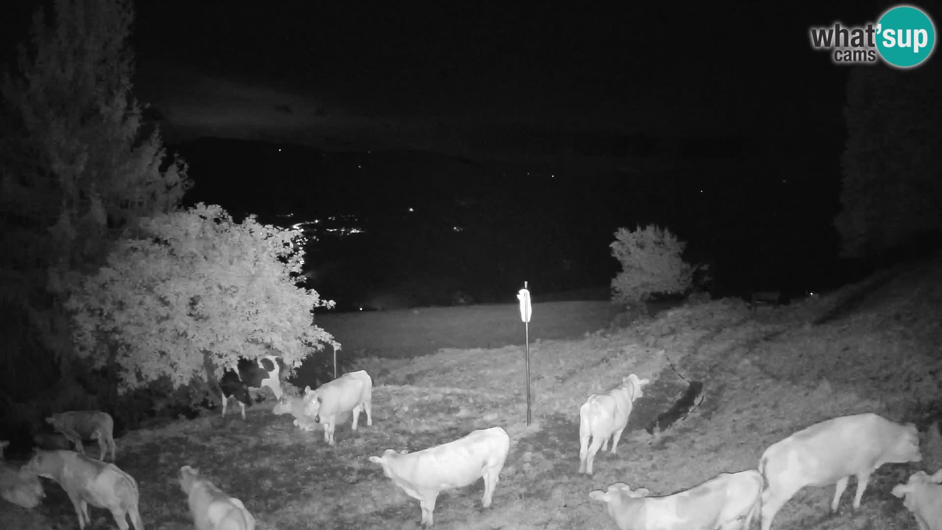 Slajka webcam | Gorenja Vas | Slowenien