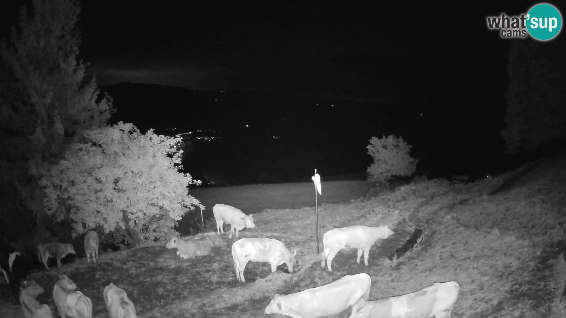 Webcam Slajka | Gorenja vas | Slovenia