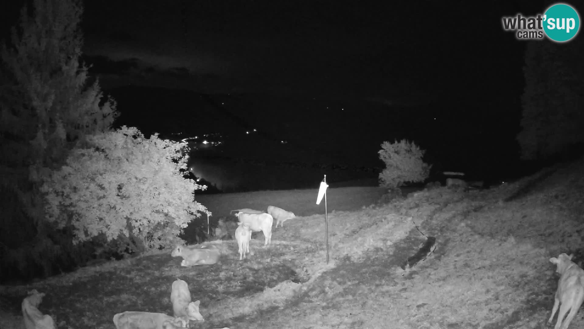 Slajka webcam | Gorenja Vas | Slowenien