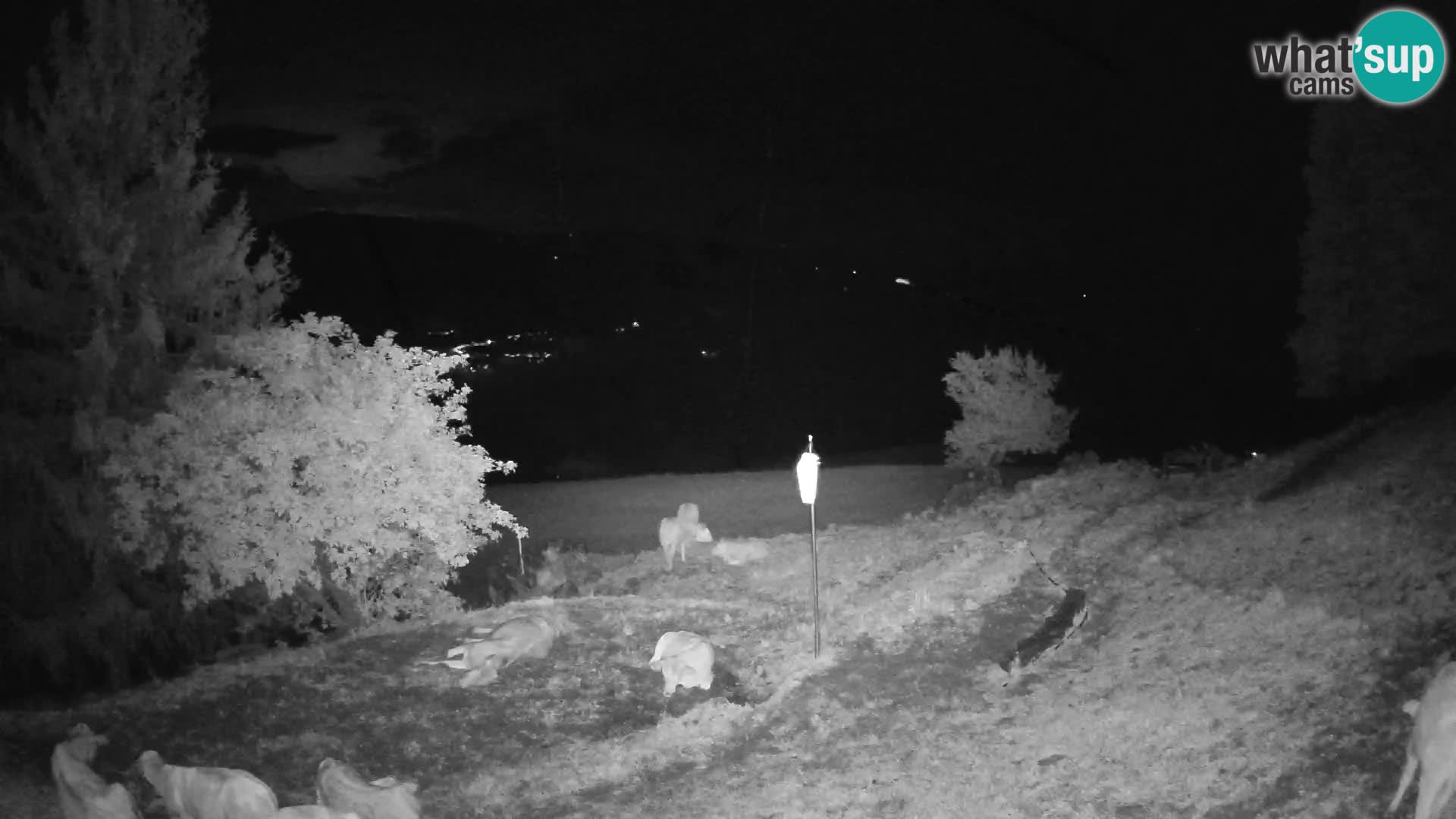 Slajka webcam | Gorenja Vas | Slowenien