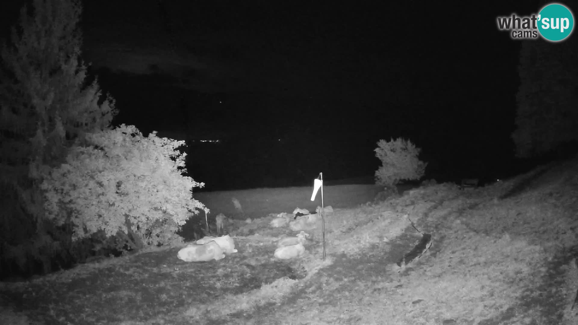 Slajka webcam | Gorenja Vas | Slowenien