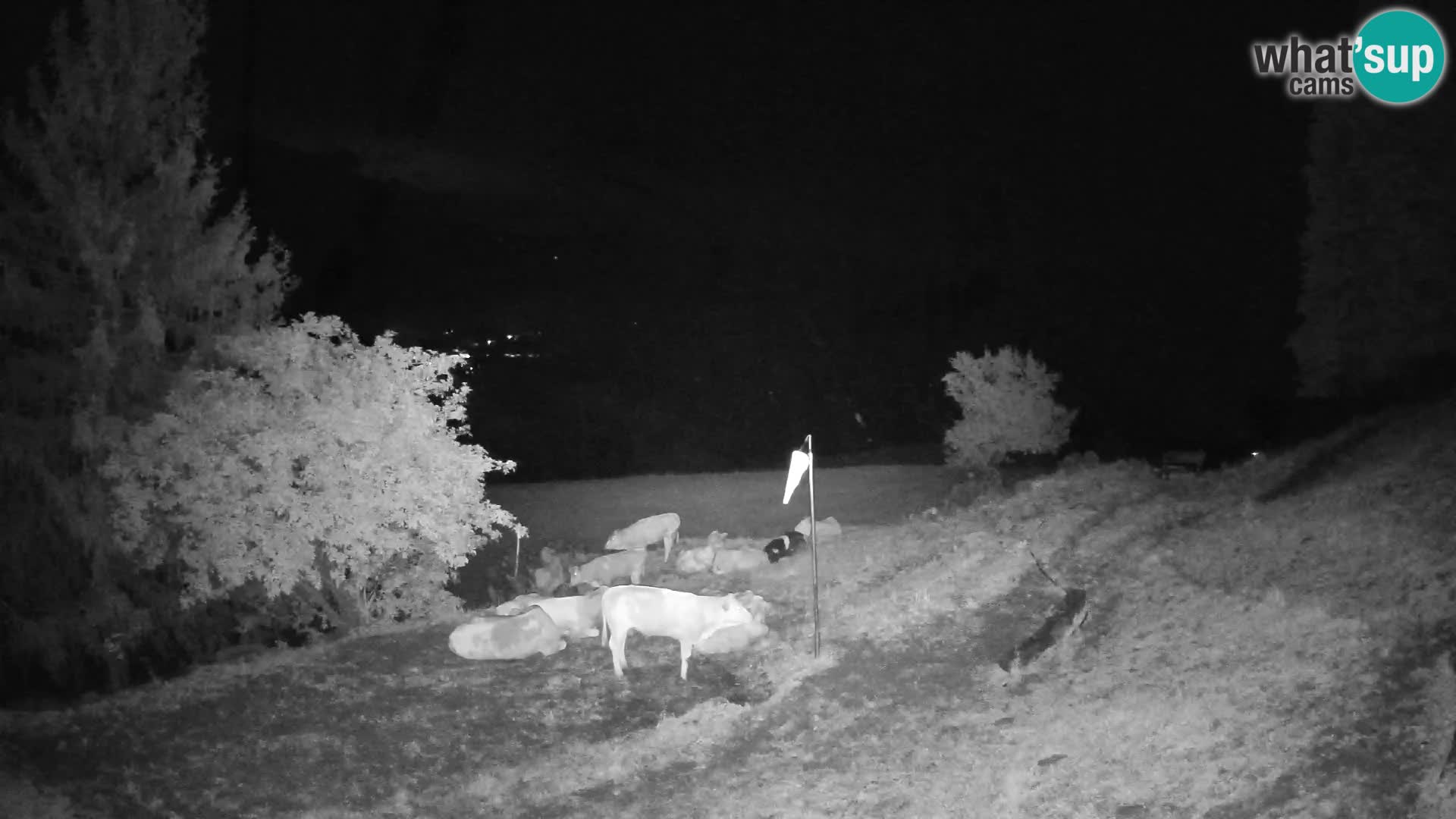 Slajka webcam | Gorenja Vas | Slowenien
