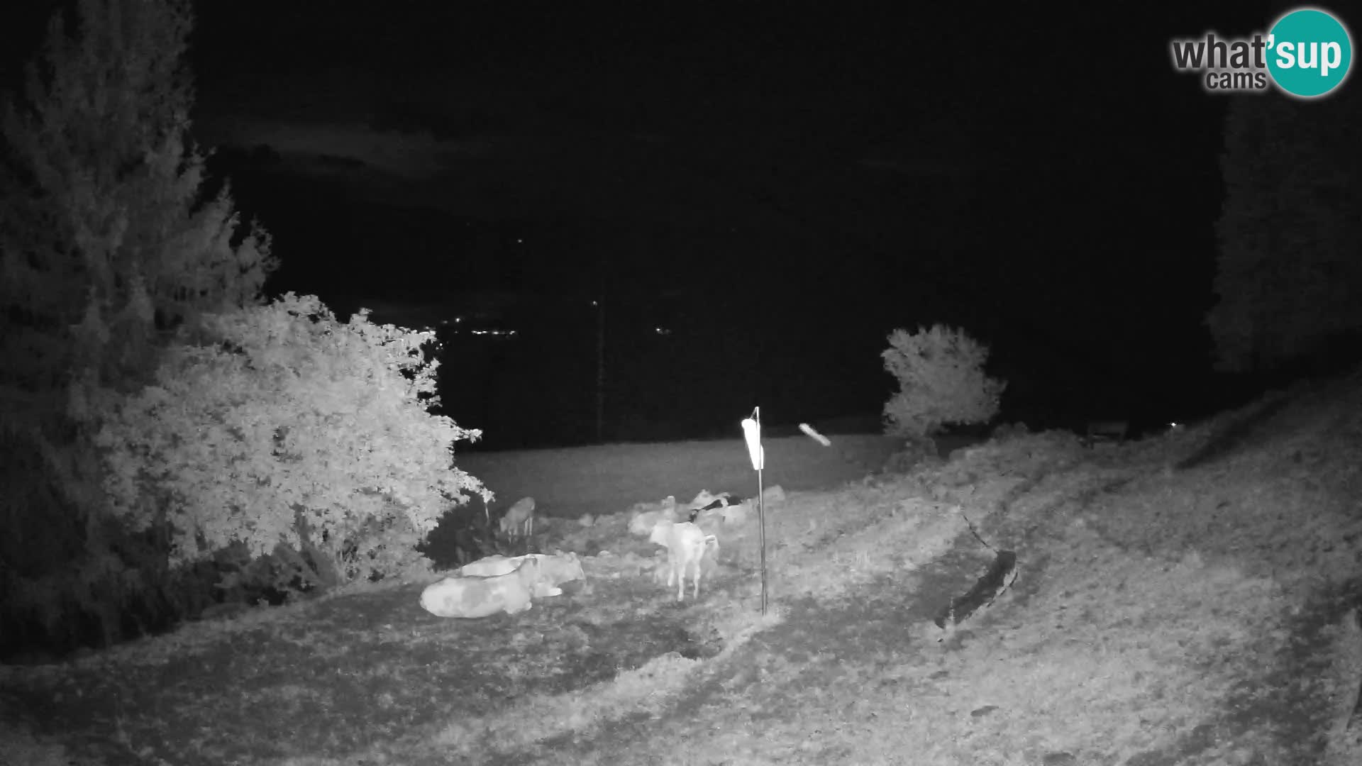 Slajka webam | Gorenja vas | Slovenia