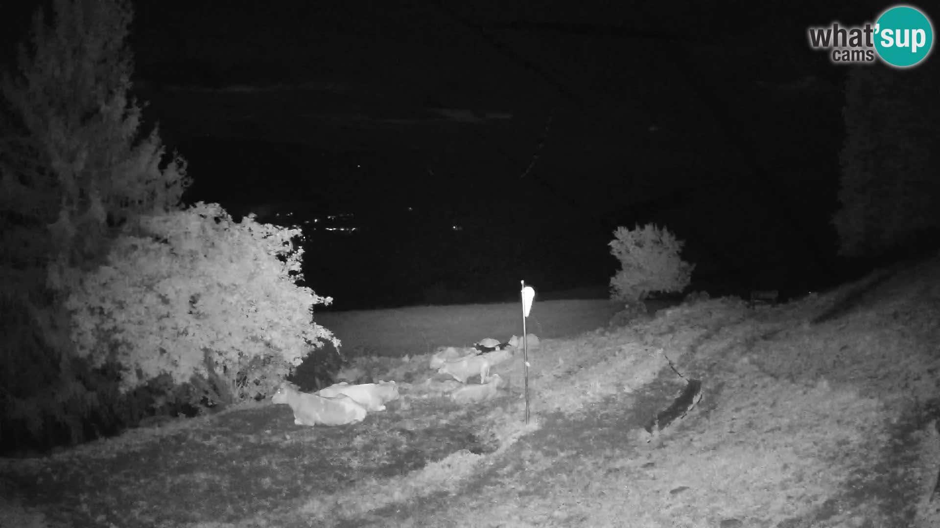 Slajka webam | Gorenja vas | Slovenia
