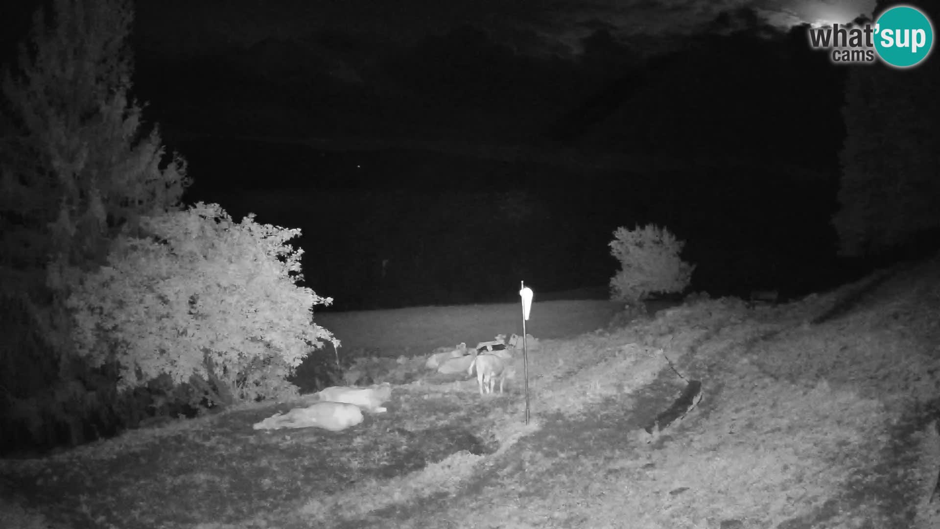 Slajka camera en vivo | Gorenja Vas | Eslovenia