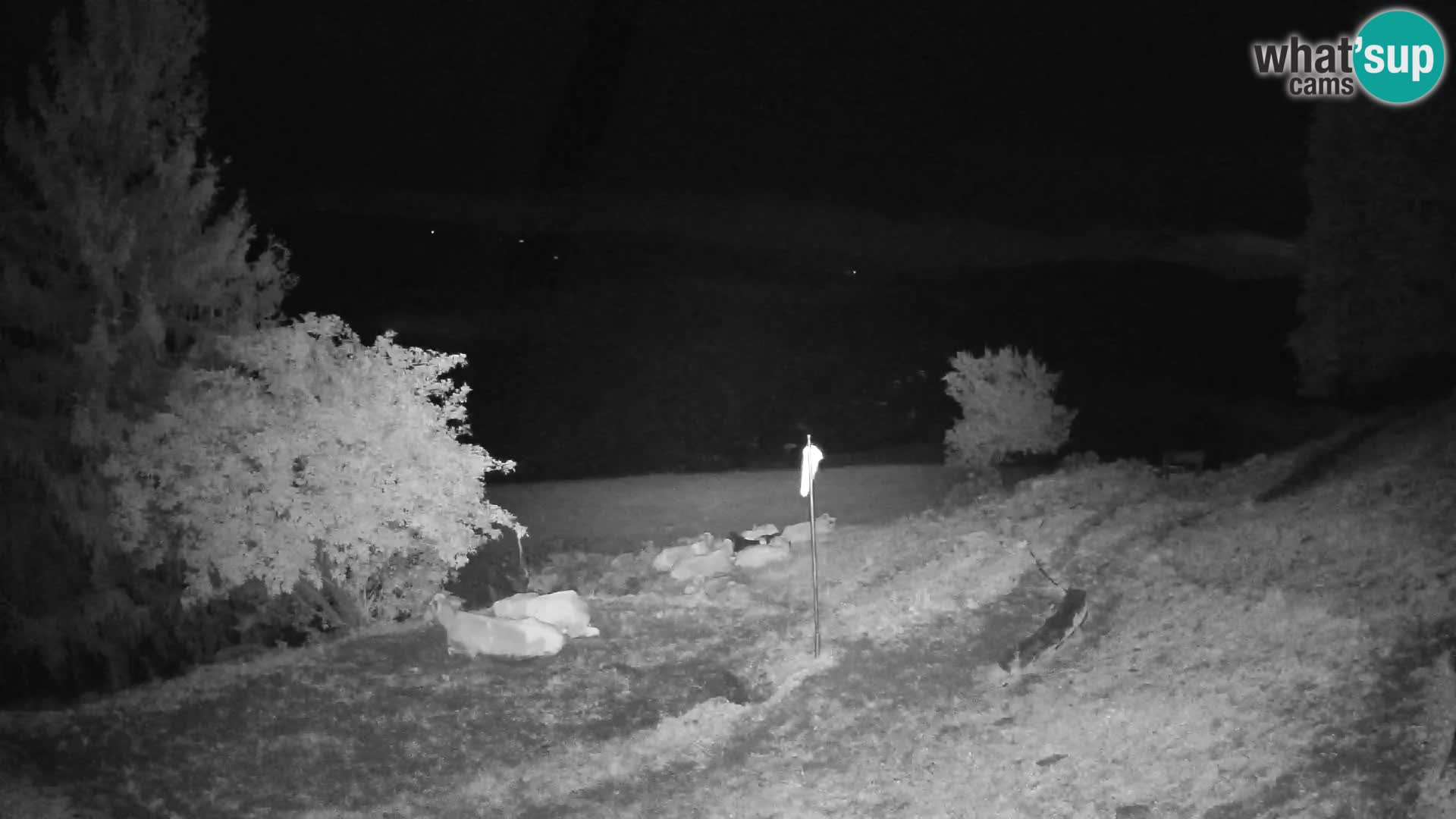 Slajka webcam | Gorenja Vas | Slowenien