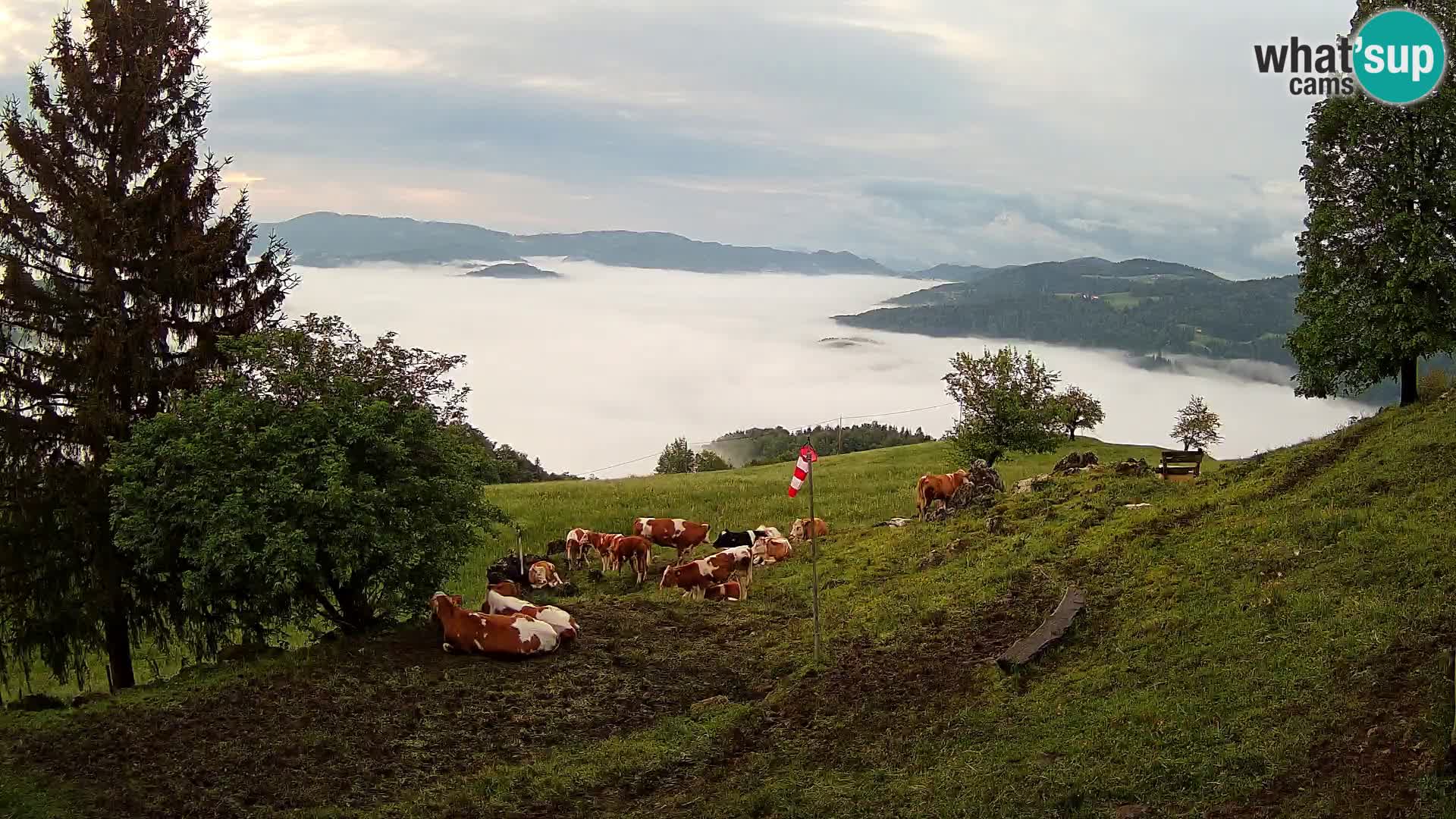 Spletna kamera Slajka | Gorenja vas