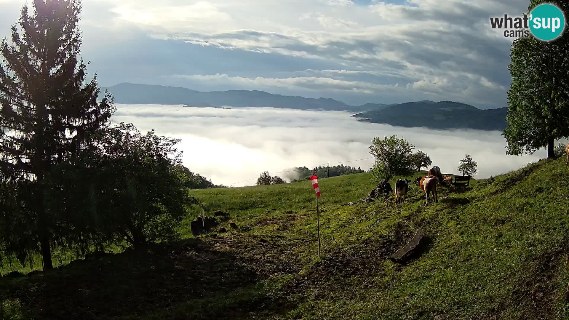 Slajka webcam | Gorenja Vas | Slowenien