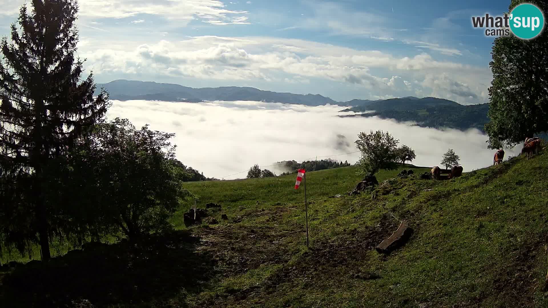 Slajka webam | Gorenja vas | Slovenia