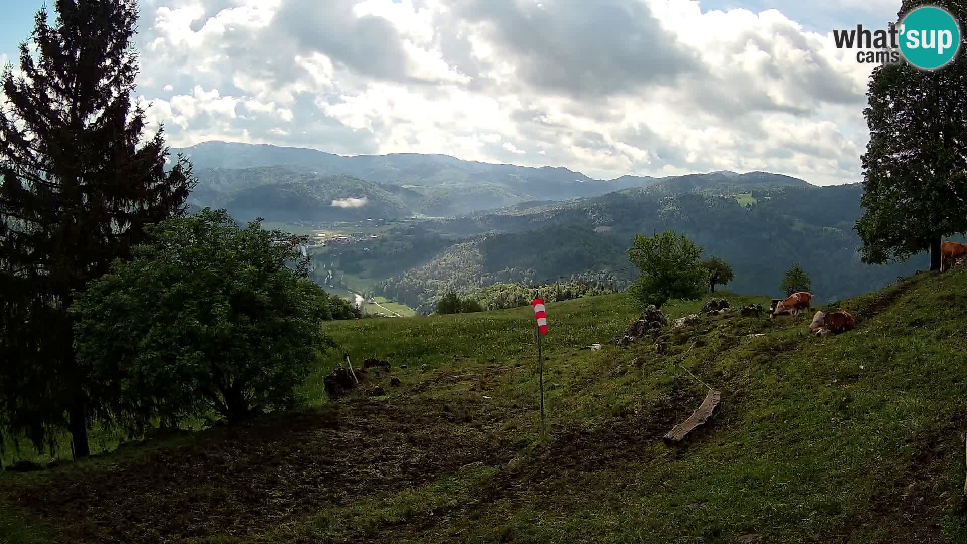 Slajka camera en vivo | Gorenja Vas | Eslovenia