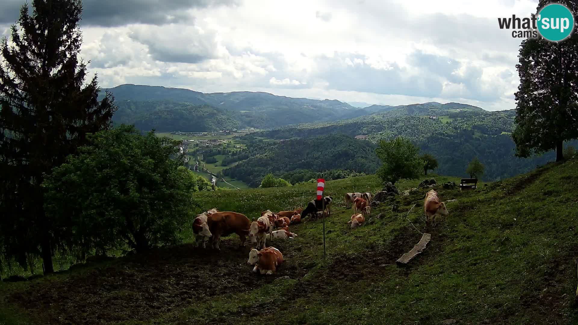 Slajka camera en vivo | Gorenja Vas | Eslovenia