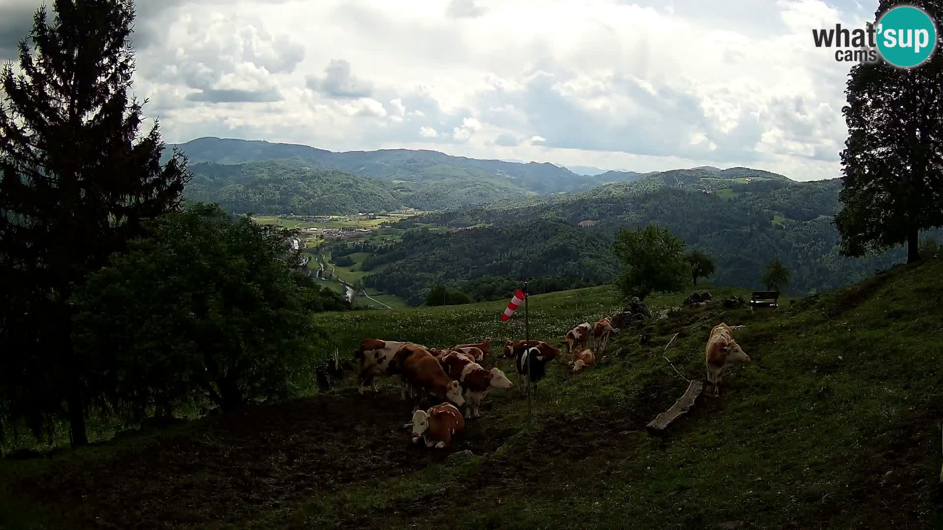 Slajka livecam | Gorenja Vas | Slovénie