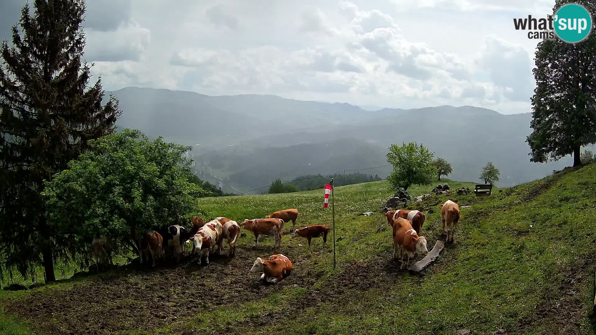 Webcam Slajka | Gorenja vas | Slovenia