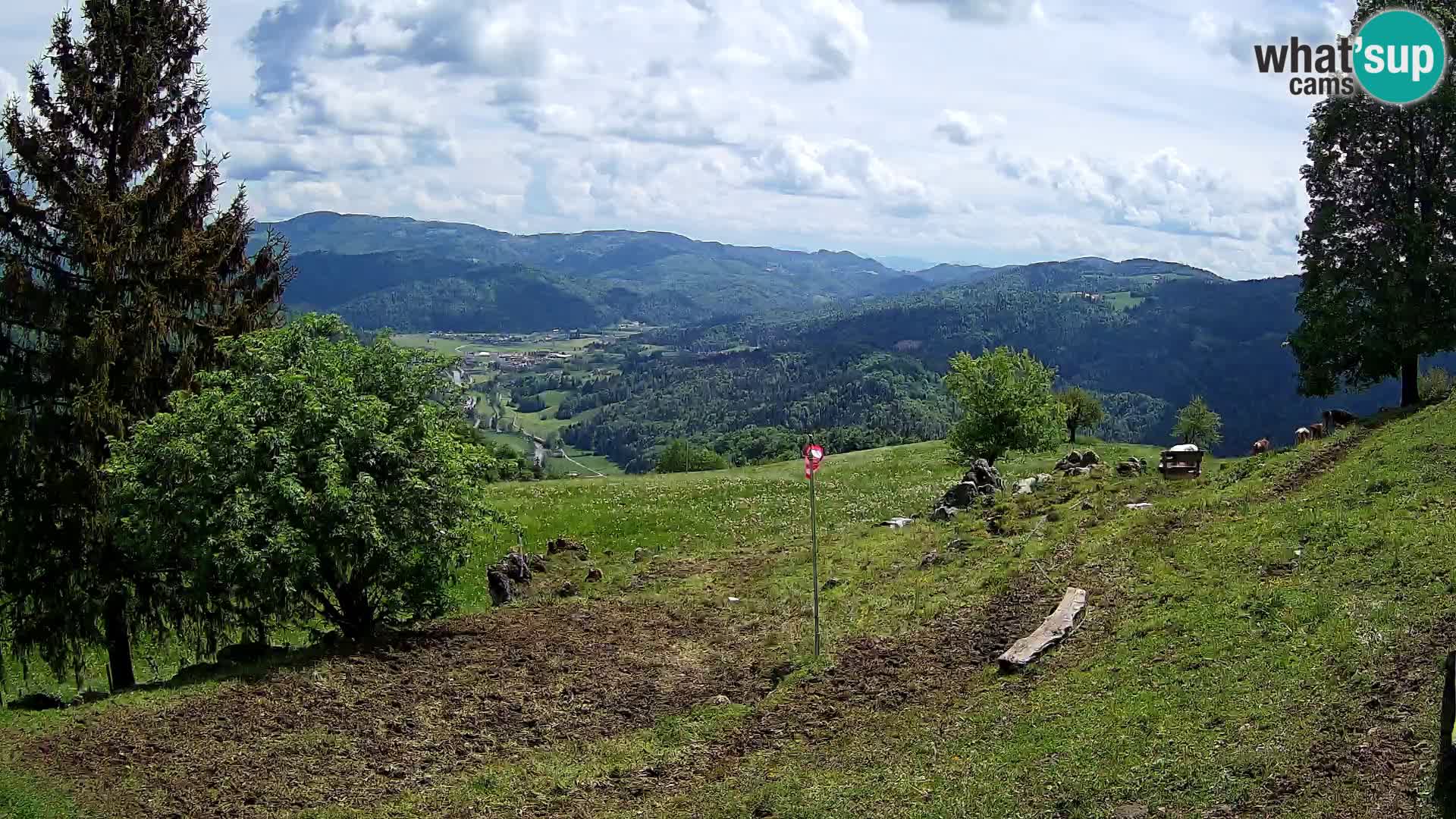 Slajka webam | Gorenja vas | Slovenia