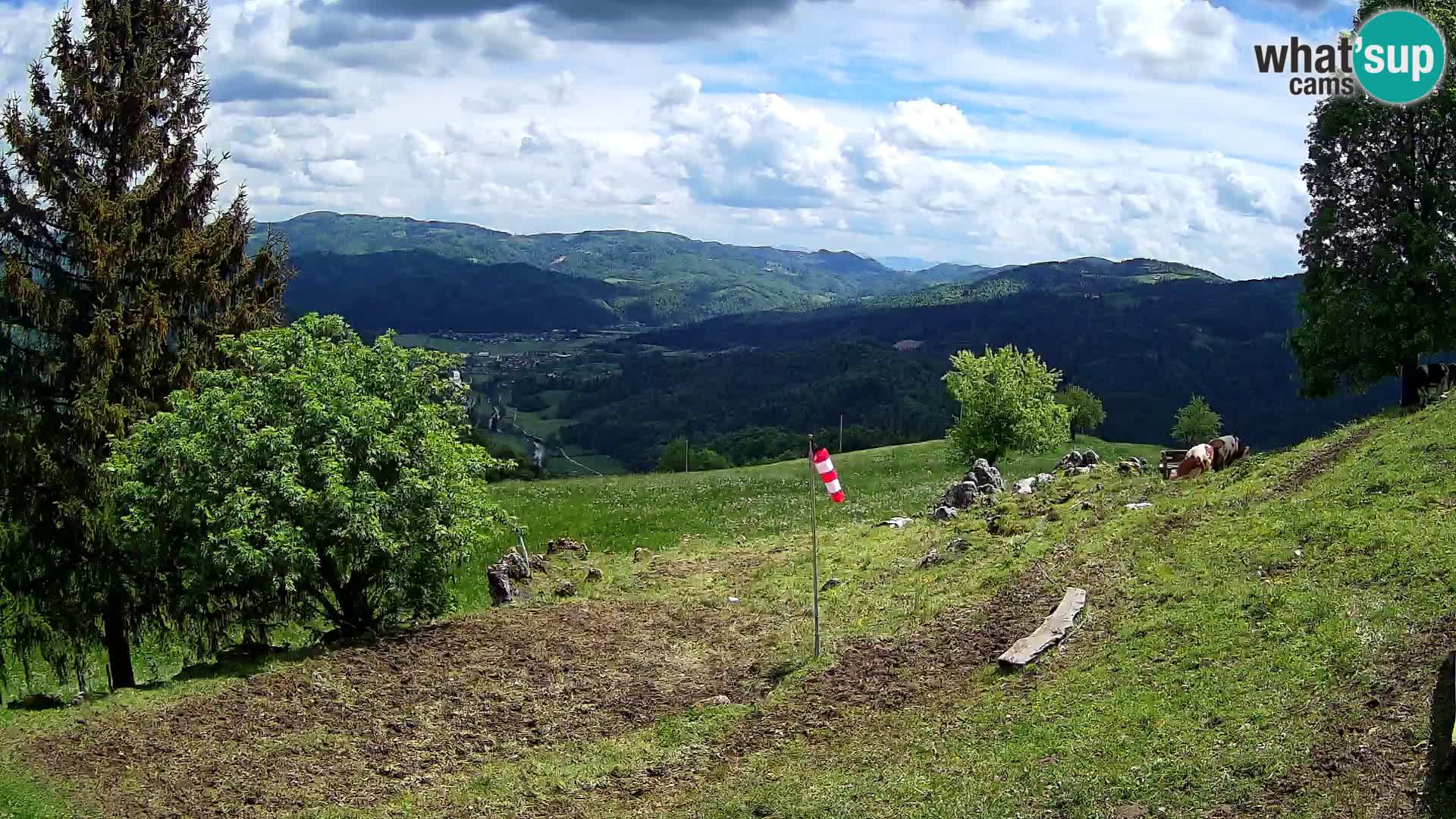 Slajka web kamera | Gorenja Vas | Slovenija