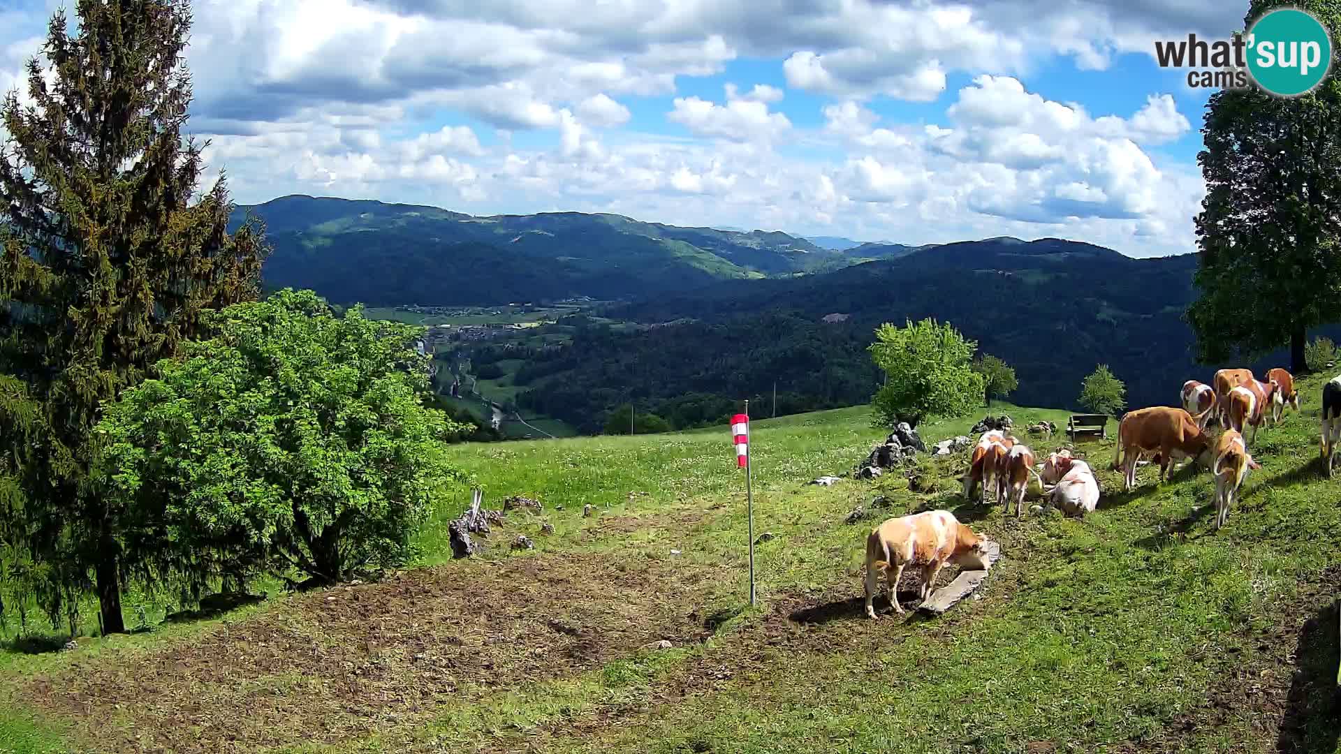 Slajka web kamera | Gorenja Vas | Slovenija