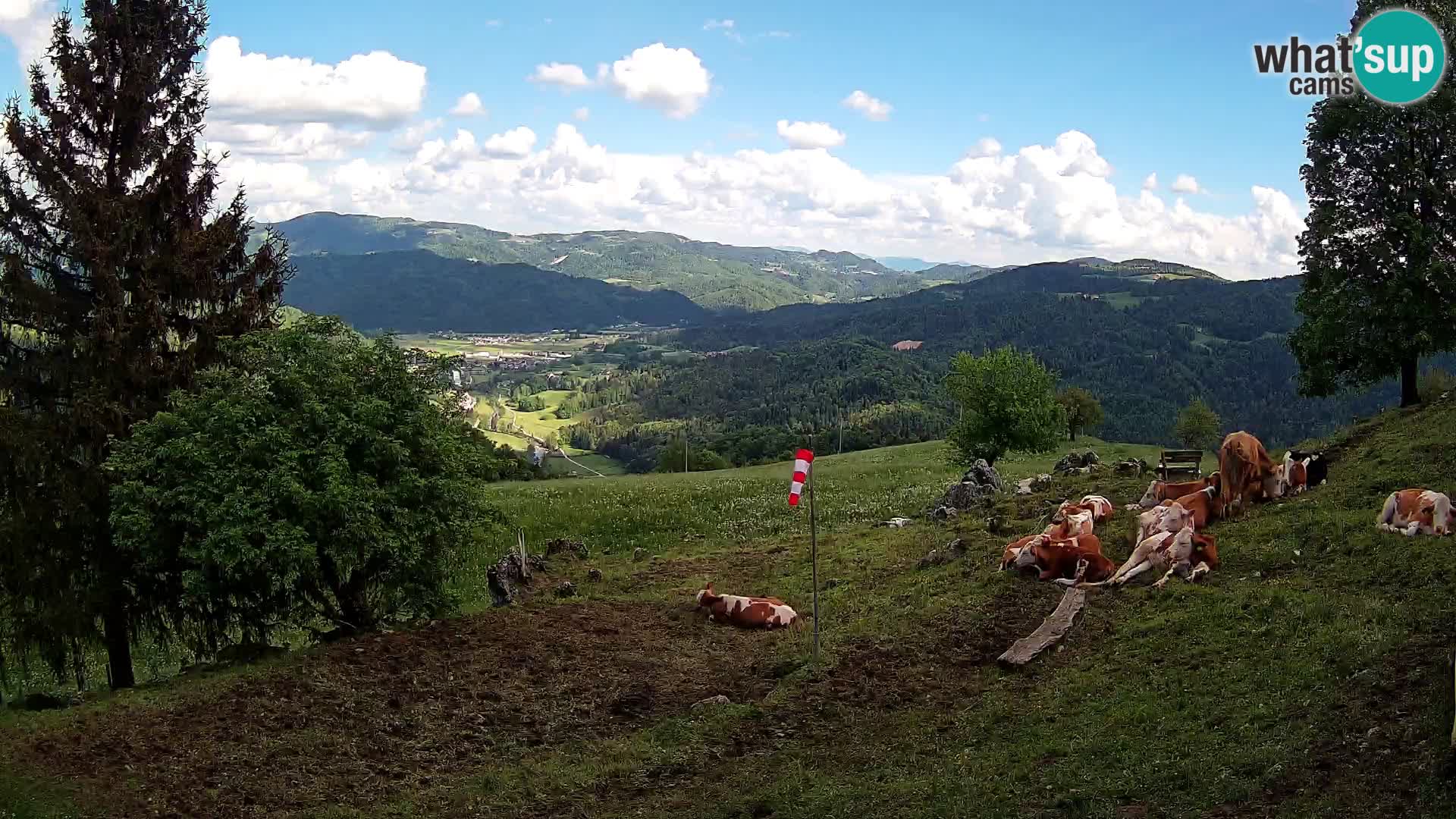 Slajka webcam | Gorenja Vas | Slowenien