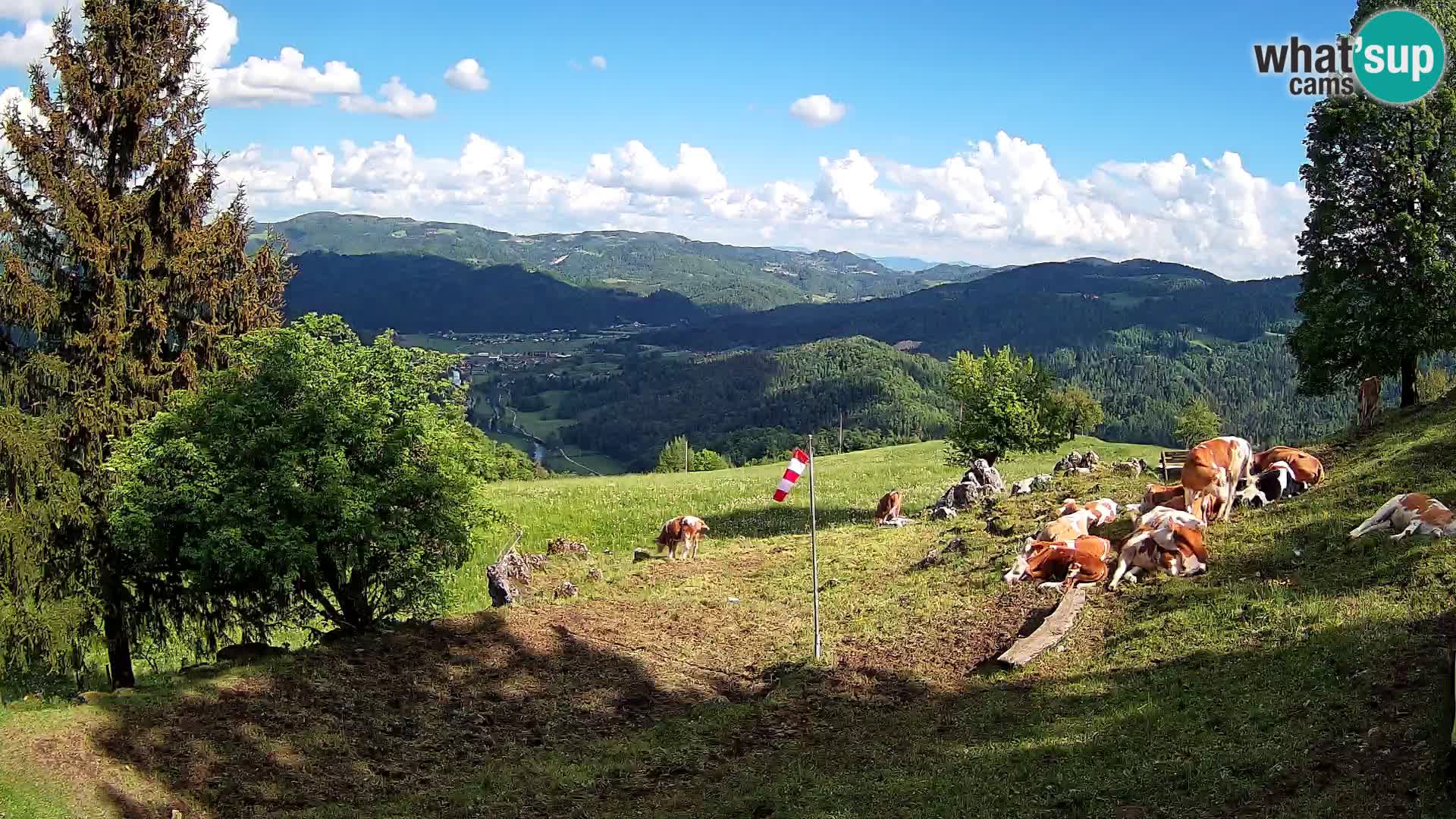Webcam Slajka | Gorenja vas | Slovenia