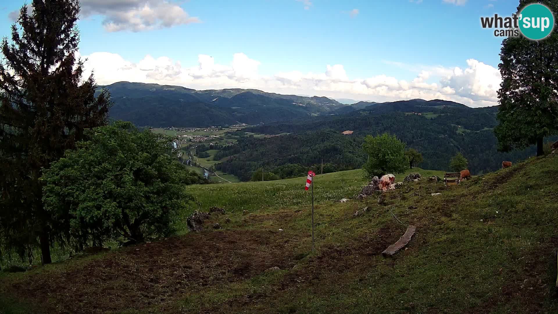 Slajka webam | Gorenja vas | Slovenia