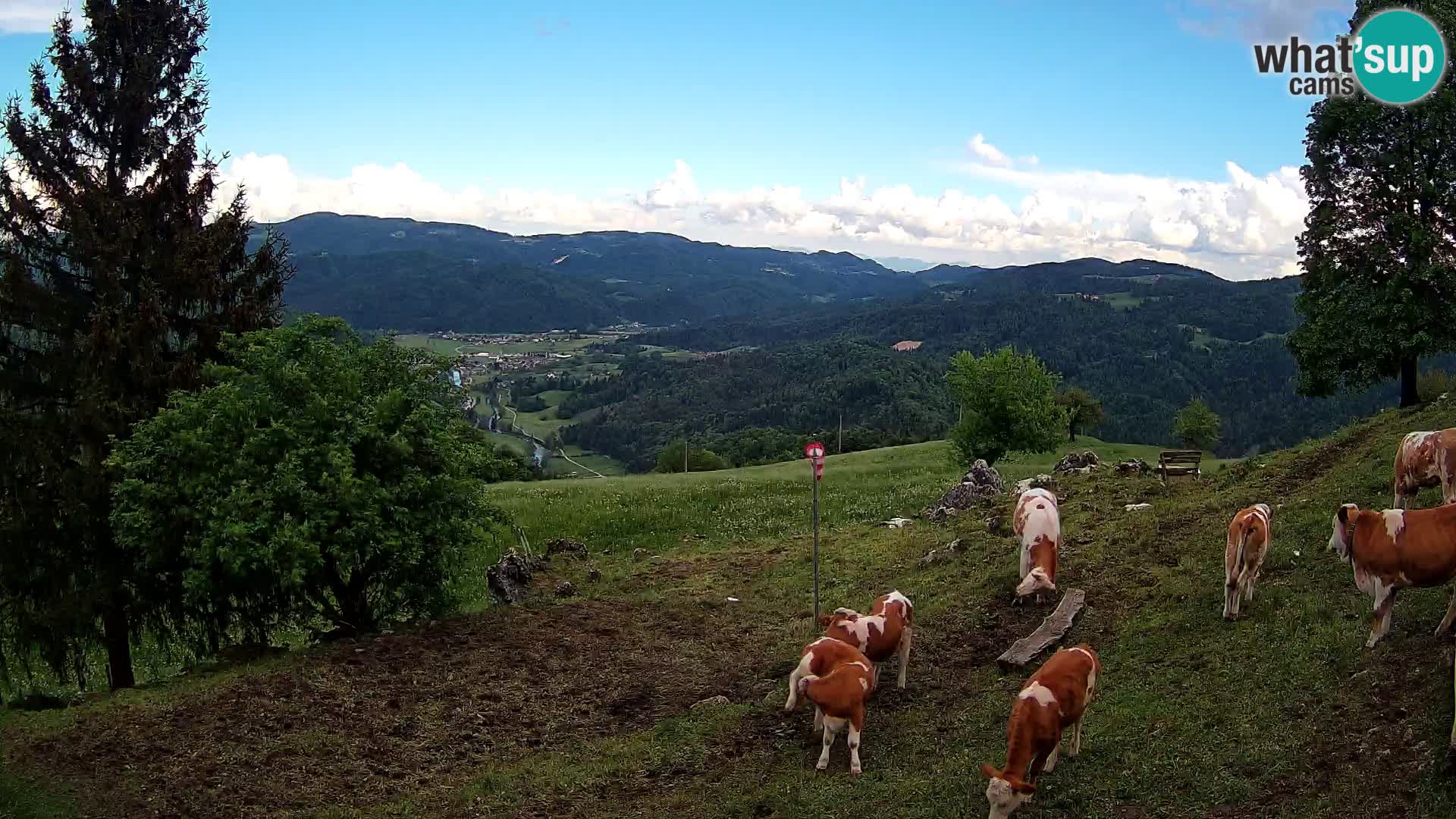 Slajka web kamera | Gorenja Vas | Slovenija