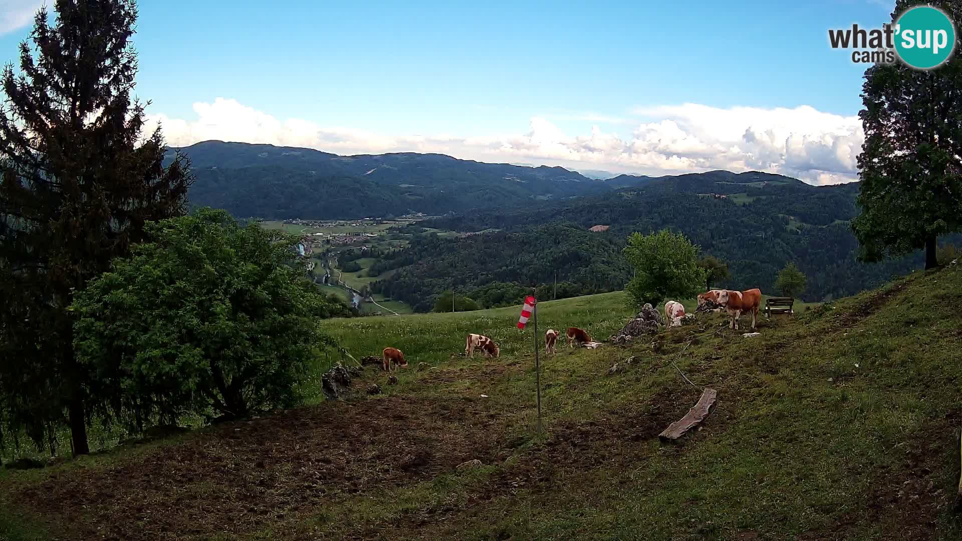 Slajka webam | Gorenja vas | Slovenia