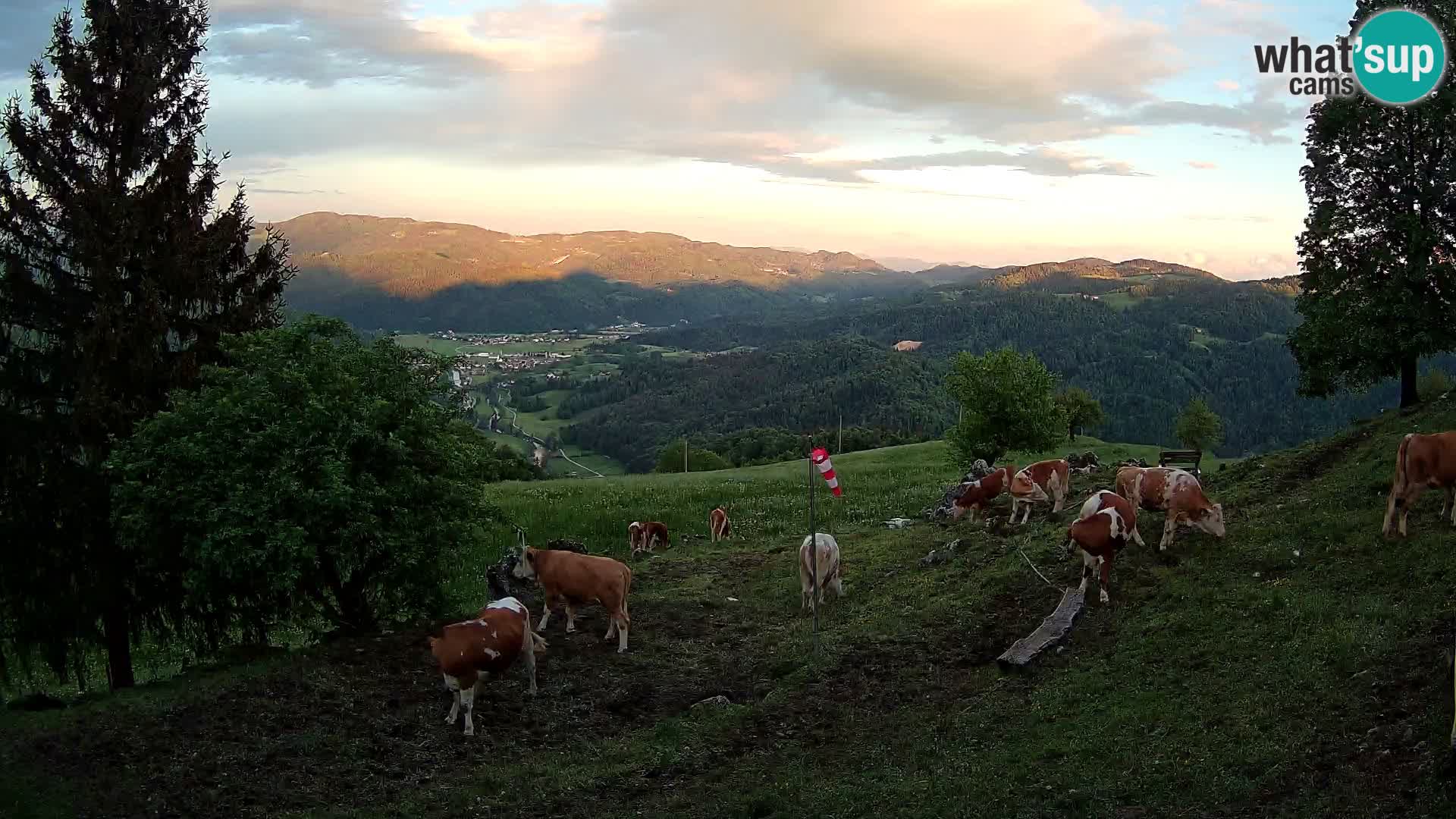 Slajka webcam | Gorenja Vas | Slowenien