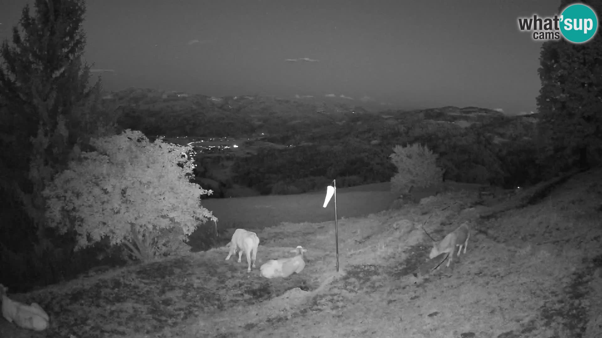 Slajka webcam | Gorenja Vas | Slowenien