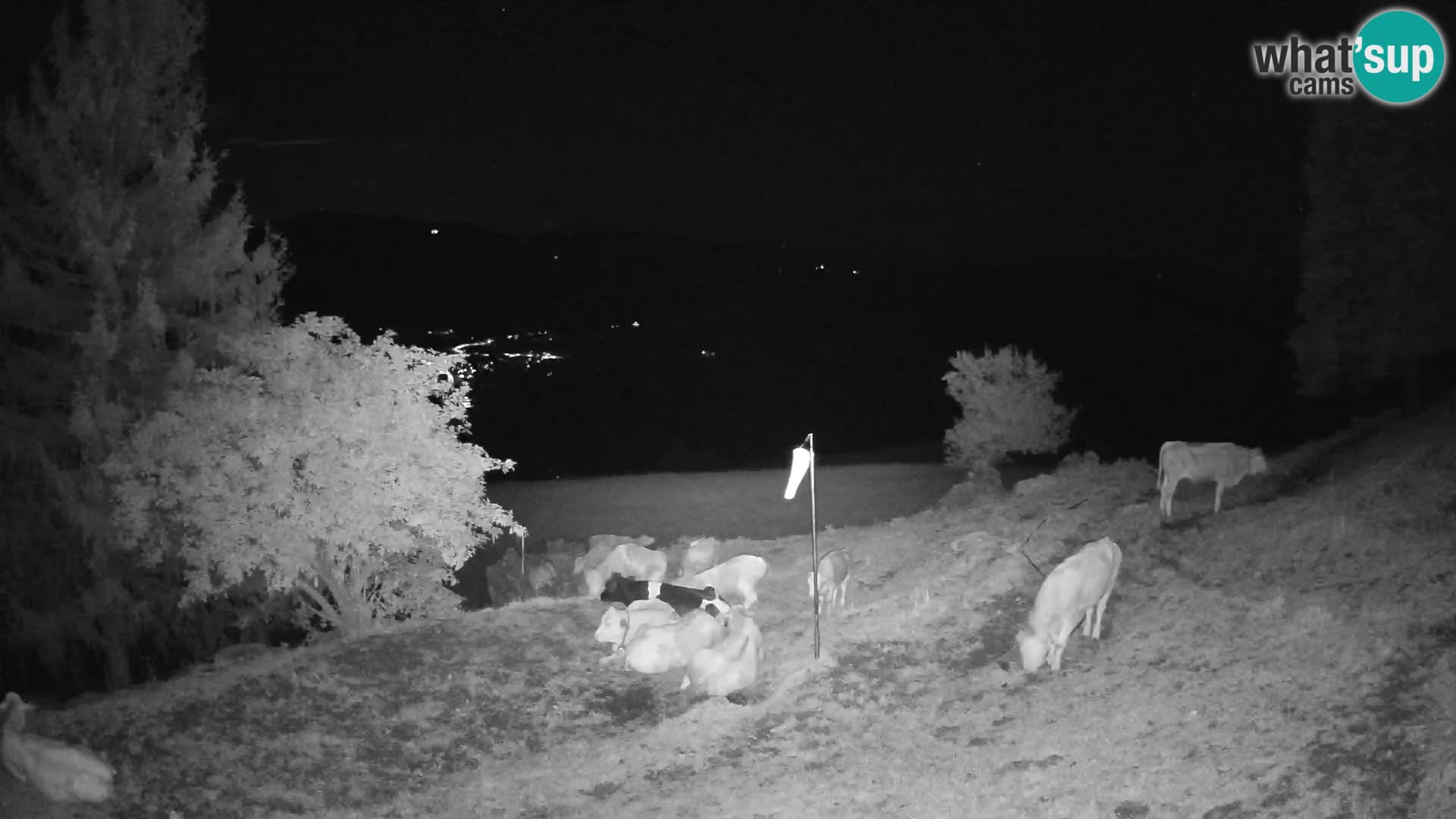 Slajka webam | Gorenja vas | Slovenia