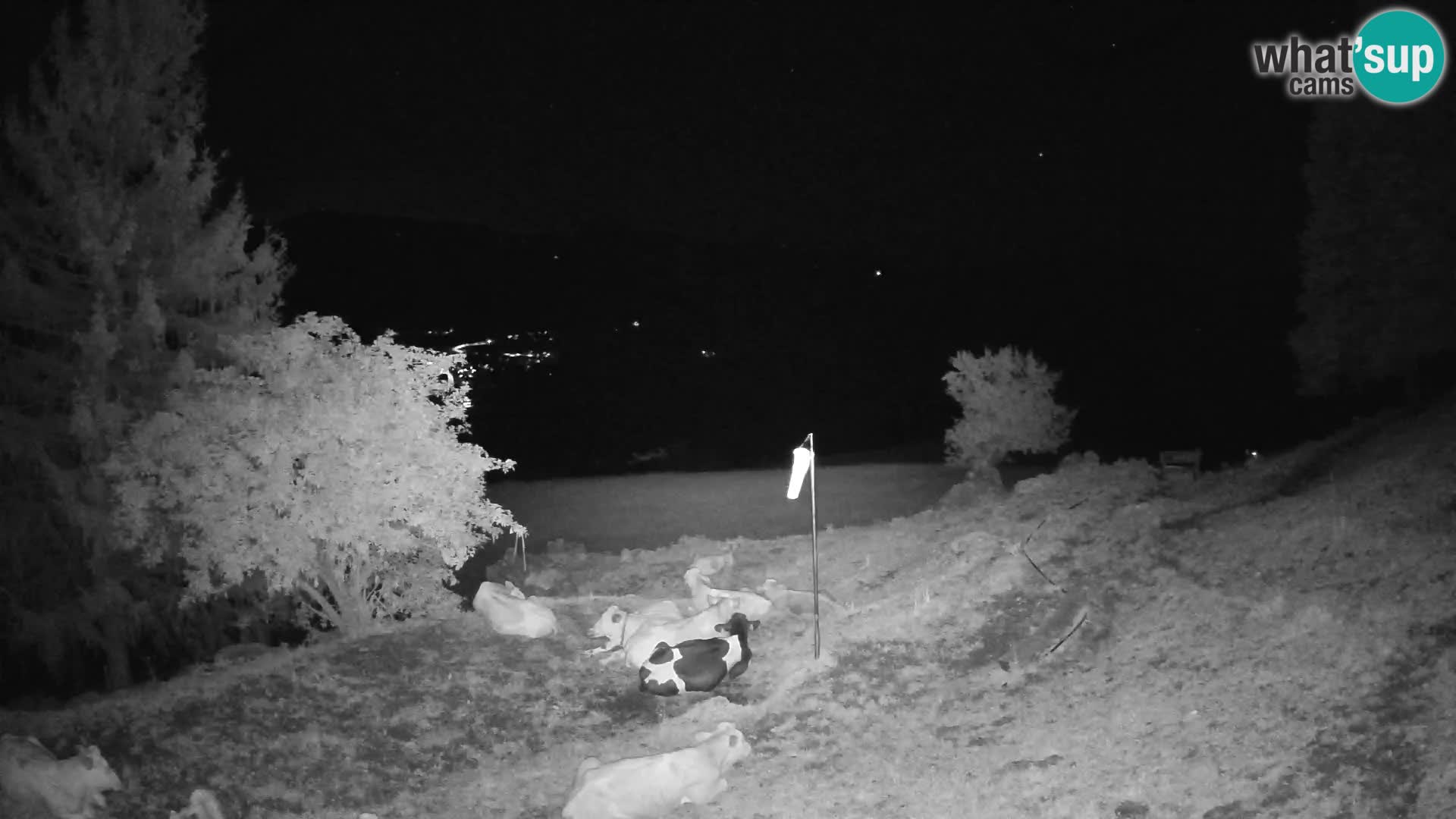 Slajka livecam | Gorenja Vas | Slovénie