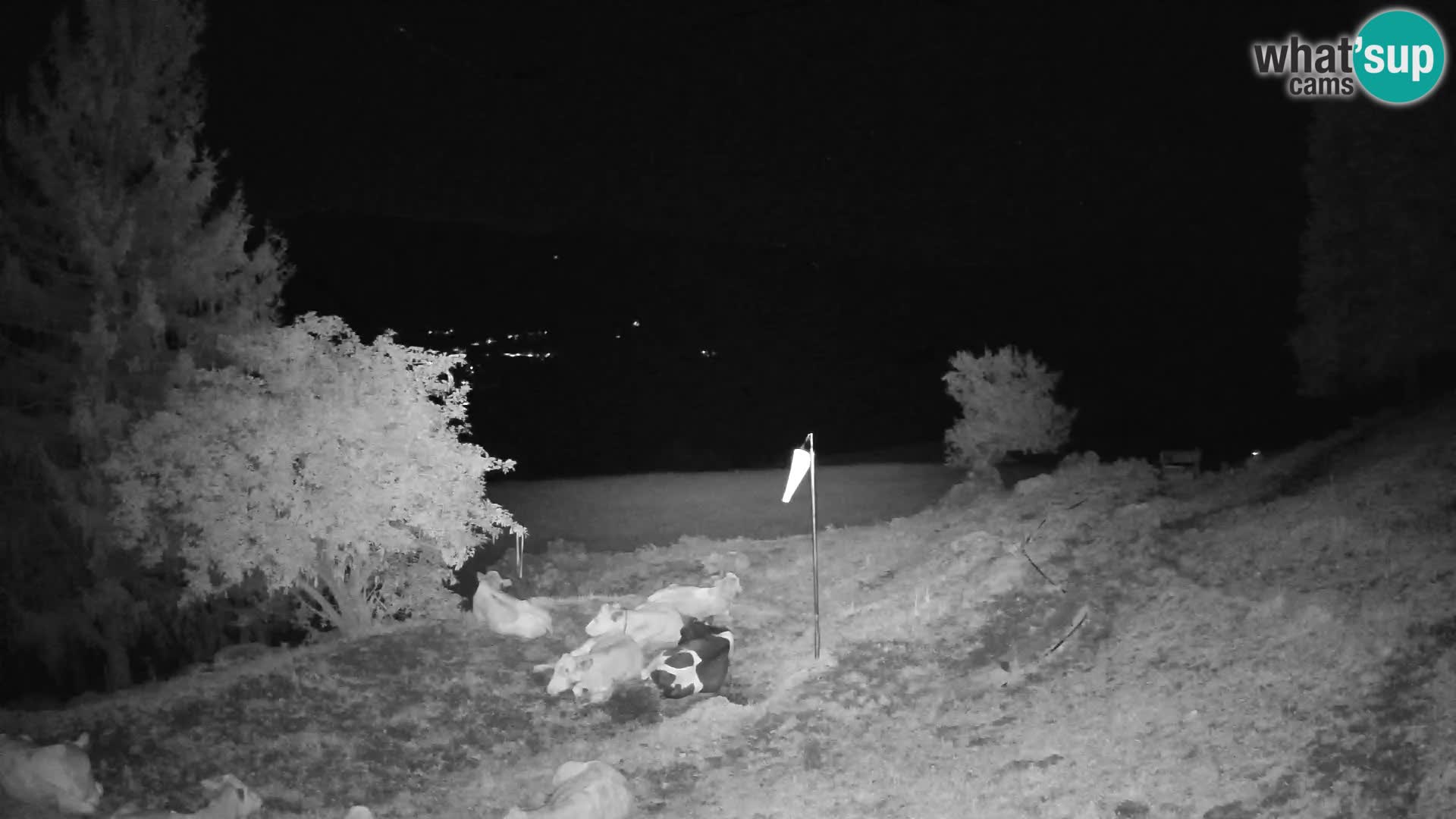 Slajka webam | Gorenja vas | Slovenia